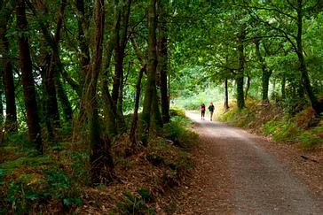 Relais Termal | Balneario Acuña | Fotos 31
