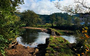 Descubre nuestro entorno