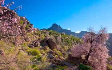 Relais Termal | Balneario de Grávalos | Fotos 11