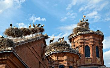 Relais Termal | Balneario de Grávalos | Fotos 10
