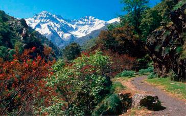 Relais Termal | Balneario de Lanjarón | Fotos 5