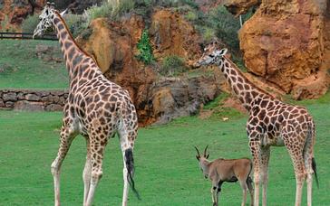 Relais Termal | Balneario de Lierganes | Fotos 9