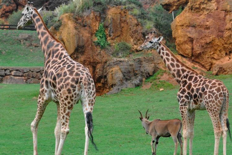 Relais Termal | Santander | 3