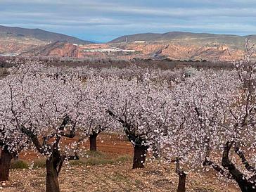 Relais Termal | Balneario La Albotea | Fotos 11