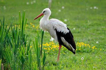 Descubre Nuestro Entorno