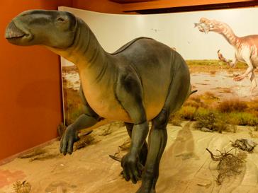 Relais Termal | Balneario La Albotea | Fotos 13